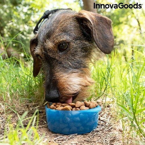 Du viename butelis su vandens ir maisto skyriais gyvūnams Pettap InnovaGoods Home Pet